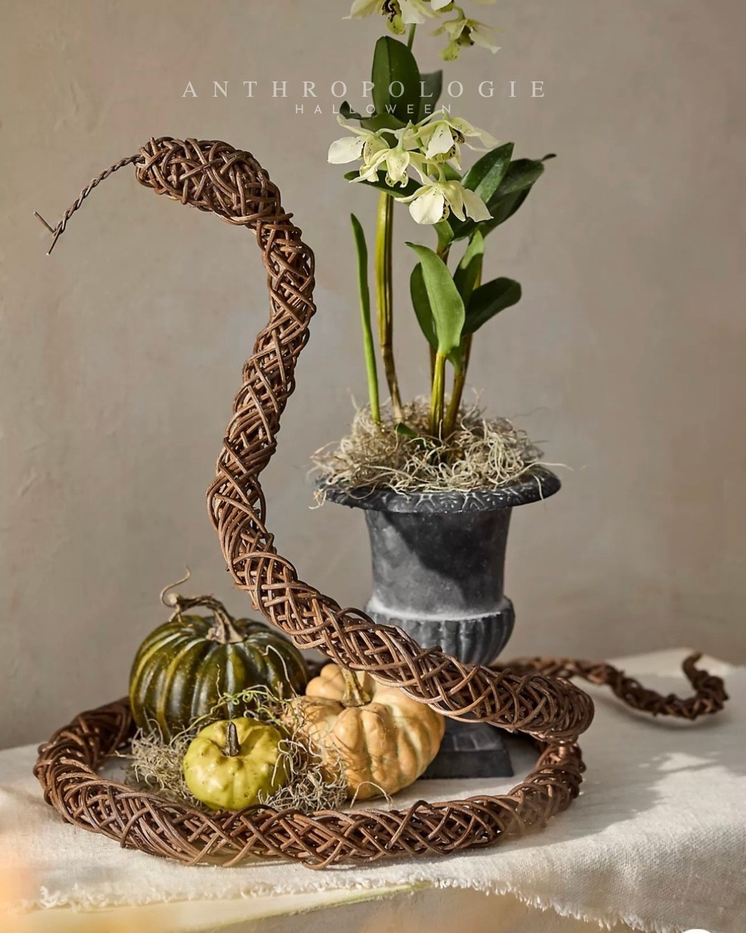 Obsesseddddd with this rattan snake

Anthropologie Halloween 
Rattan coiled vine snake
Halloween decor

#LTKHome