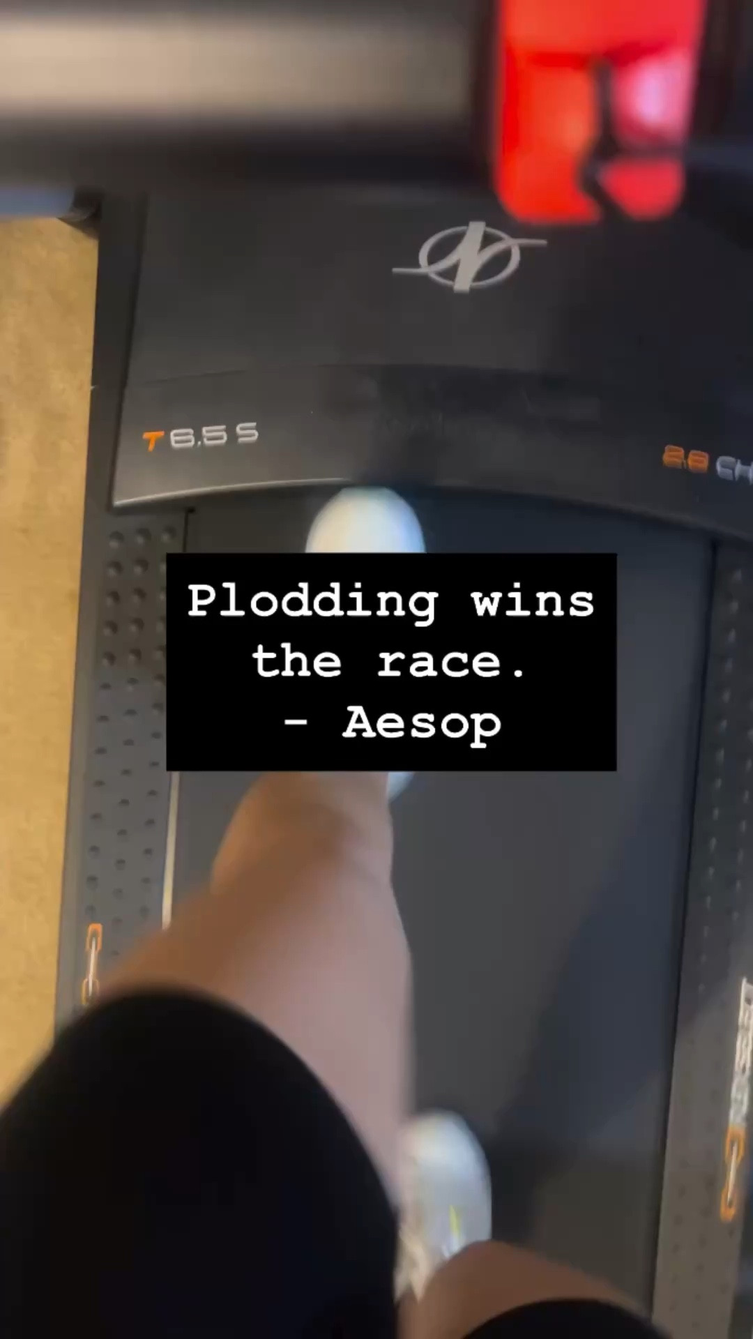 Plodding: slow, continuous, and not exciting

Today’s @brainyquote 

It just reminded me that consistency matters. Showing up matters. The not so fun work matters. Results don’t come overnight. In my experience, they come with time, practice, and effort. 

30 minute easy run. Today was a scheduled rest day, but I felt that I could get a little bit of movement in. I kept my pace, easy and listened to my book.

-
#runningmom #5ktraining #womensrunning