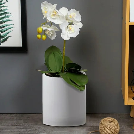 Cotonie Scrub Straight Planting Plant Ceramic Flower Pot White Flower Pot | Walmart (US)