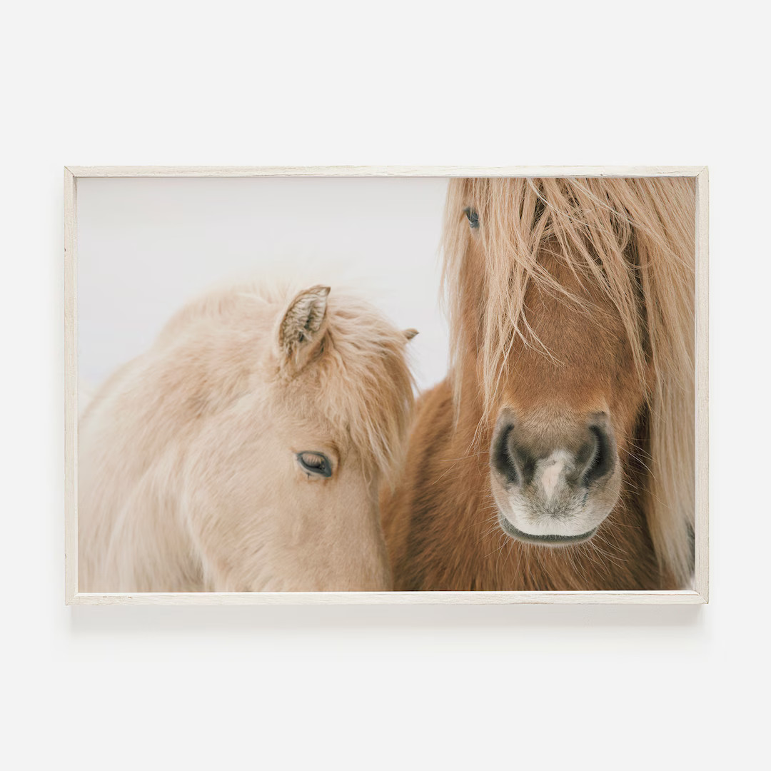 Beige Horses in Iceland, Rustic Farmhouse Print, Neutral Horse Photo, Brown and Beige Tones, Hors... | Etsy (US)