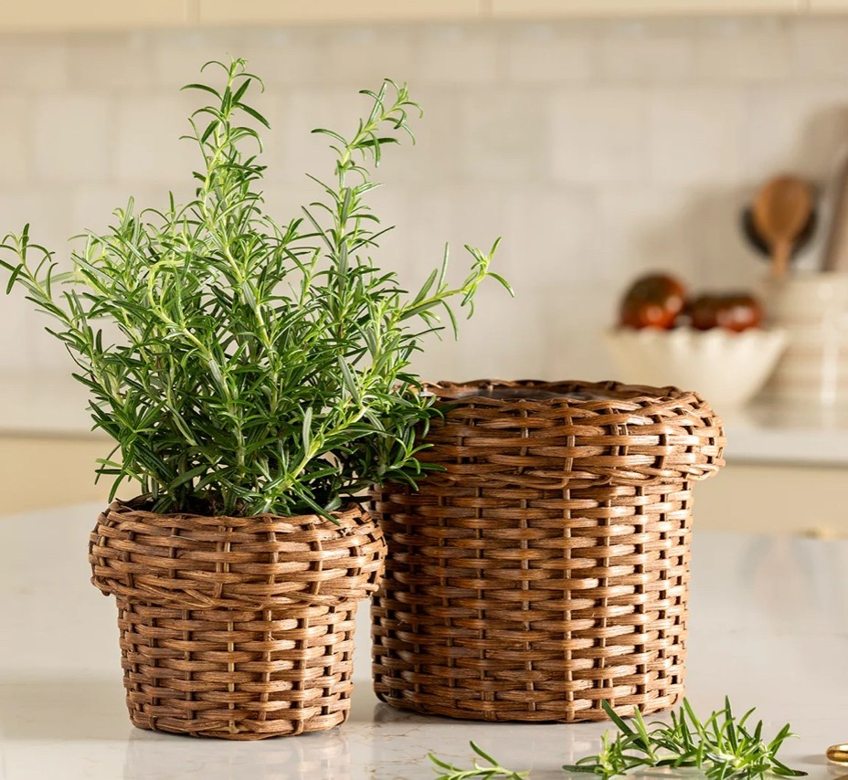 Perfect plantergrew

#LTKHome #LTKStyleTip #LTKSeasonal