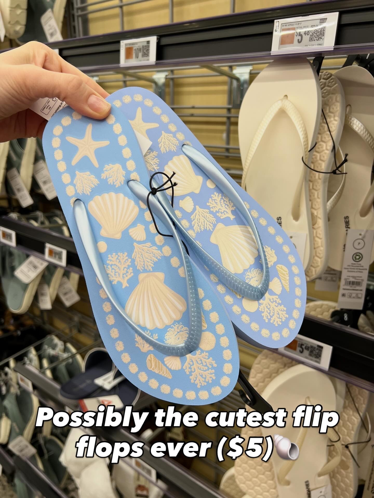 Had me at seashells with these Walmart flip flops! 