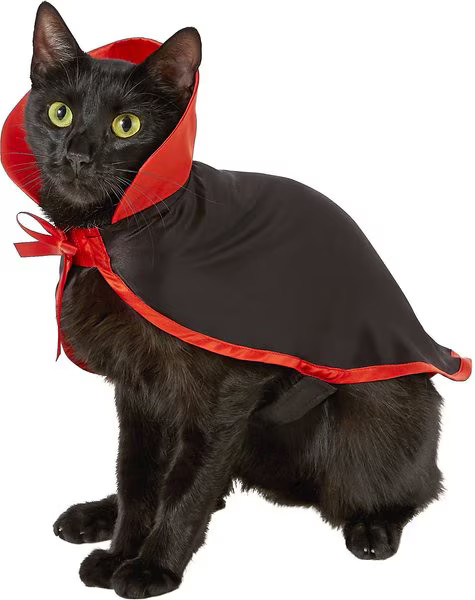 FRISCO Vampire Cape Dog & Cat Costume, X-Small/Small - Chewy.com | Chewy.com