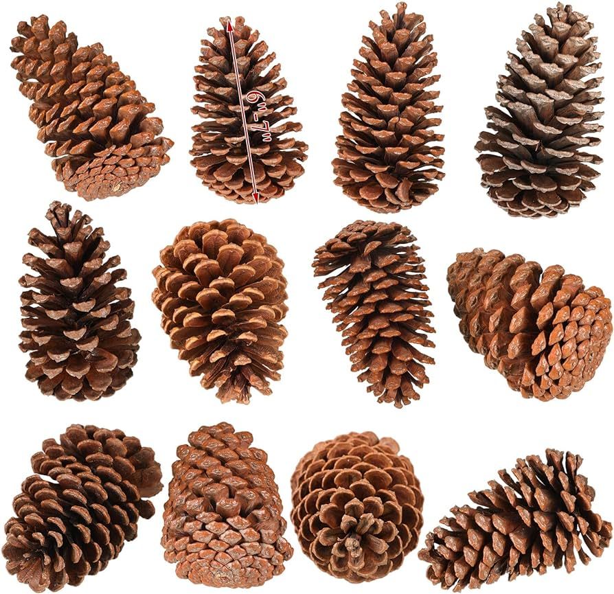 Huwena 12 Pcs PineCones Large Natural Unscented Pine Cones Bulk Rustic Christmas Tree Ornaments D... | Amazon (US)