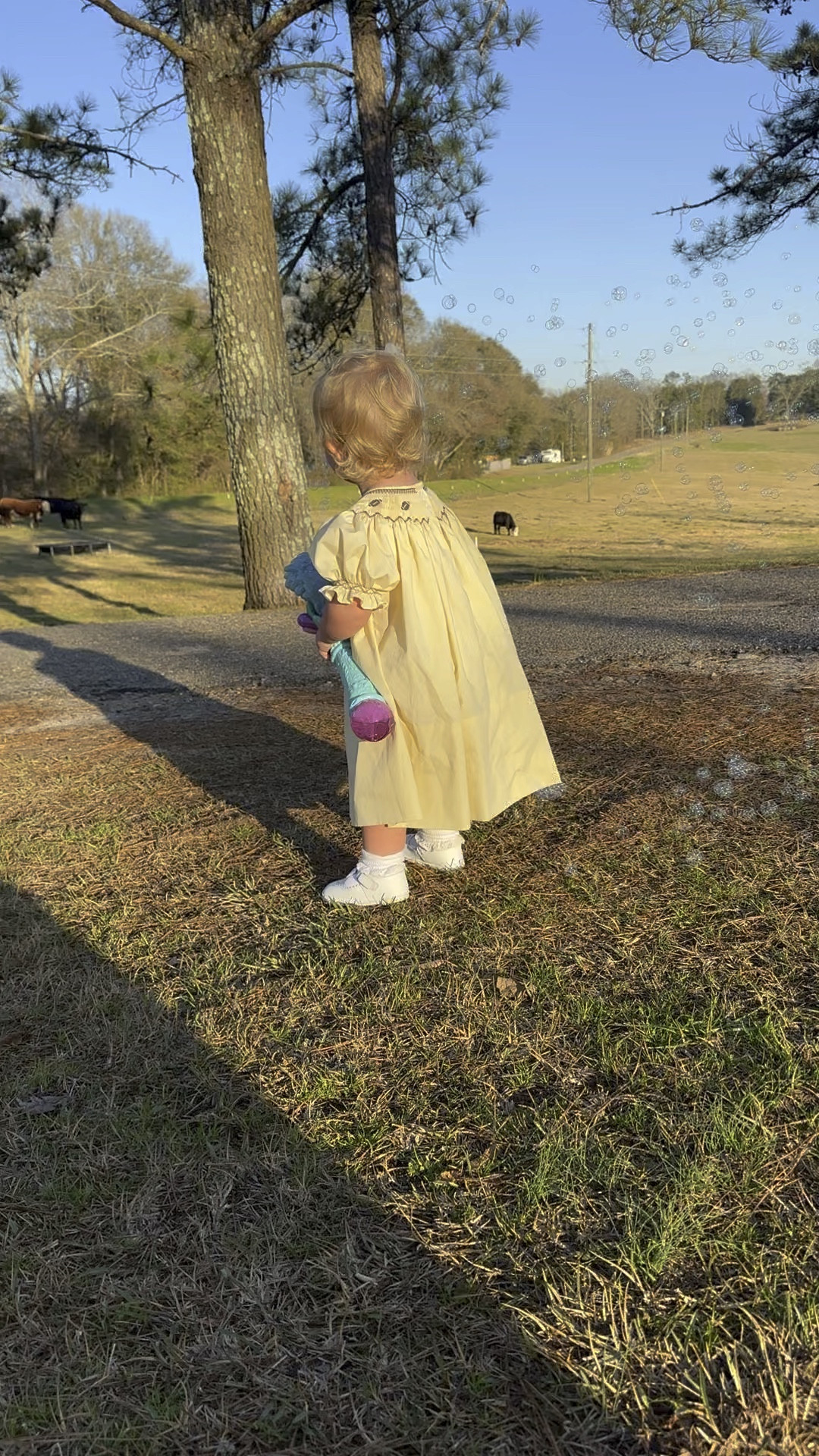 We got this in the Disney parks but she is obsessed!! It plays “Under the Sea” instrumental music and lights up!! 