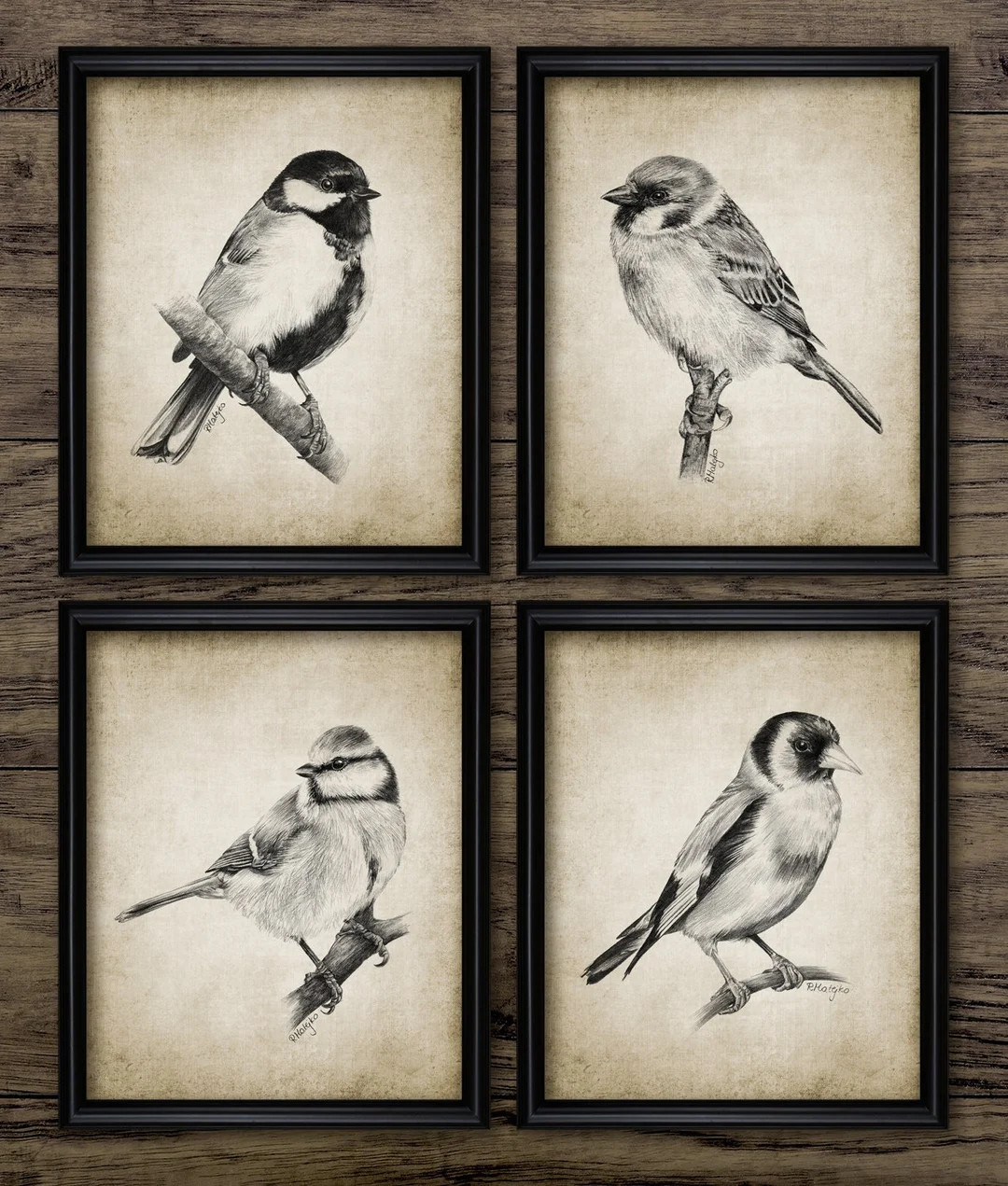 Garden Bird Pencil Drawings Set of 4, Printable British Garden Birds, Great Tit Sparrow, Blue Tit... | Etsy (US)