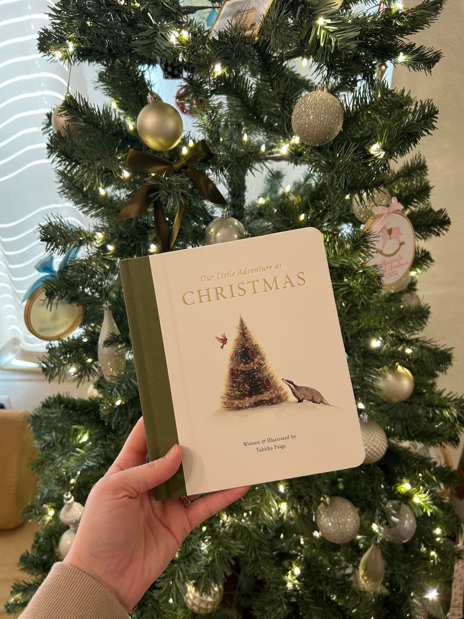 the sweetest book for children during christmas time!!!

#LTKKids #LTKHoliday #LTKGiftGuide