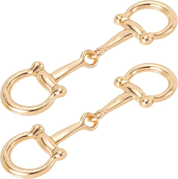 Joez Wonderful Horsebit Silk Scarf Buckle, Simple Metal Scarf Rings, Horsebit Clasp for Women | Amazon (US)