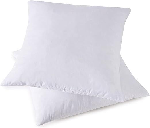 HOMESJUN Throw Couch Pillows Inserts, Set of 2 Down Feather Pillows Inserts Bed and Cotton Cover,... | Amazon (US)