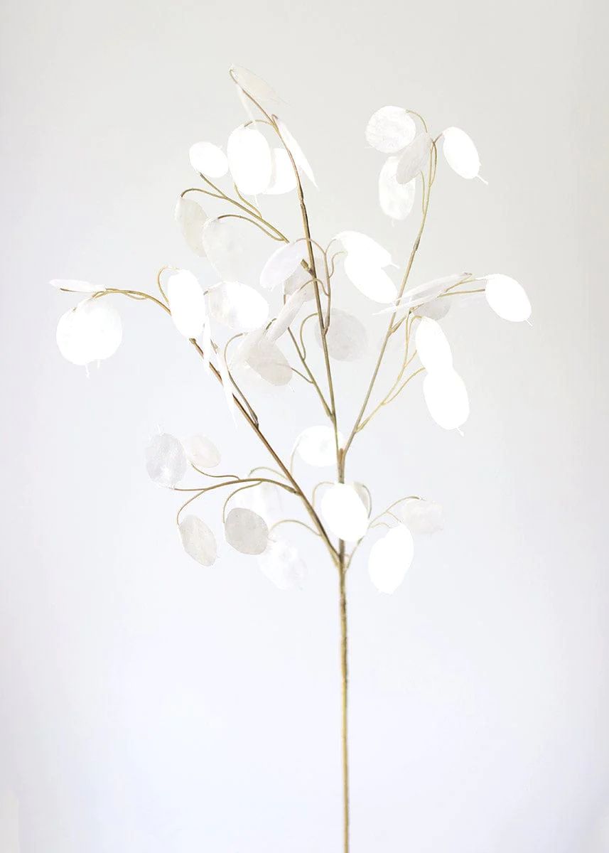 Faux Lunaria Silver Dollar Lunaria  - 29" | Afloral (US)