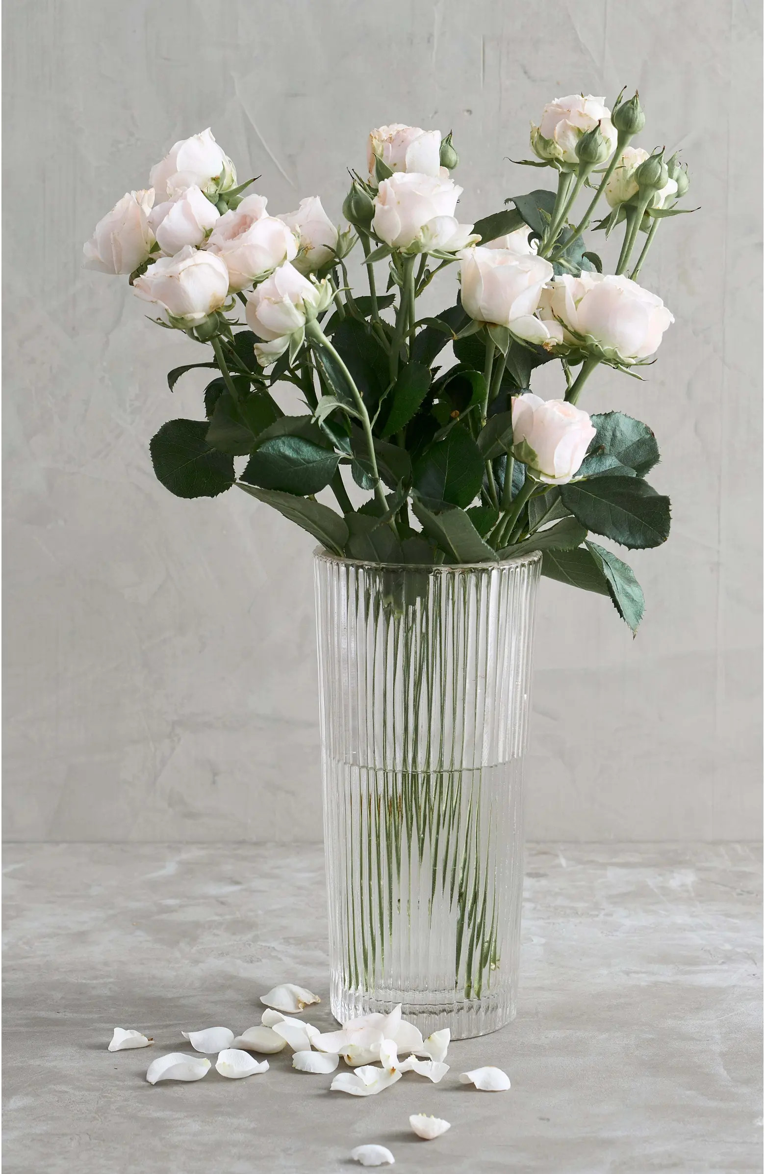 The Collective Home Clear Glass Column Vase | Nordstrom | Nordstrom