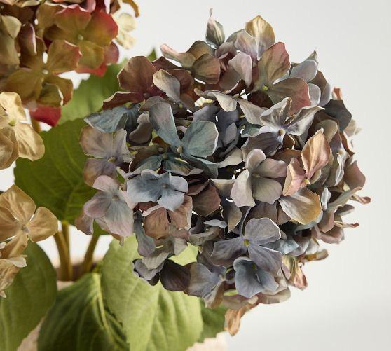 Faux Turning Hydrangea Bundle | Pottery Barn (US)