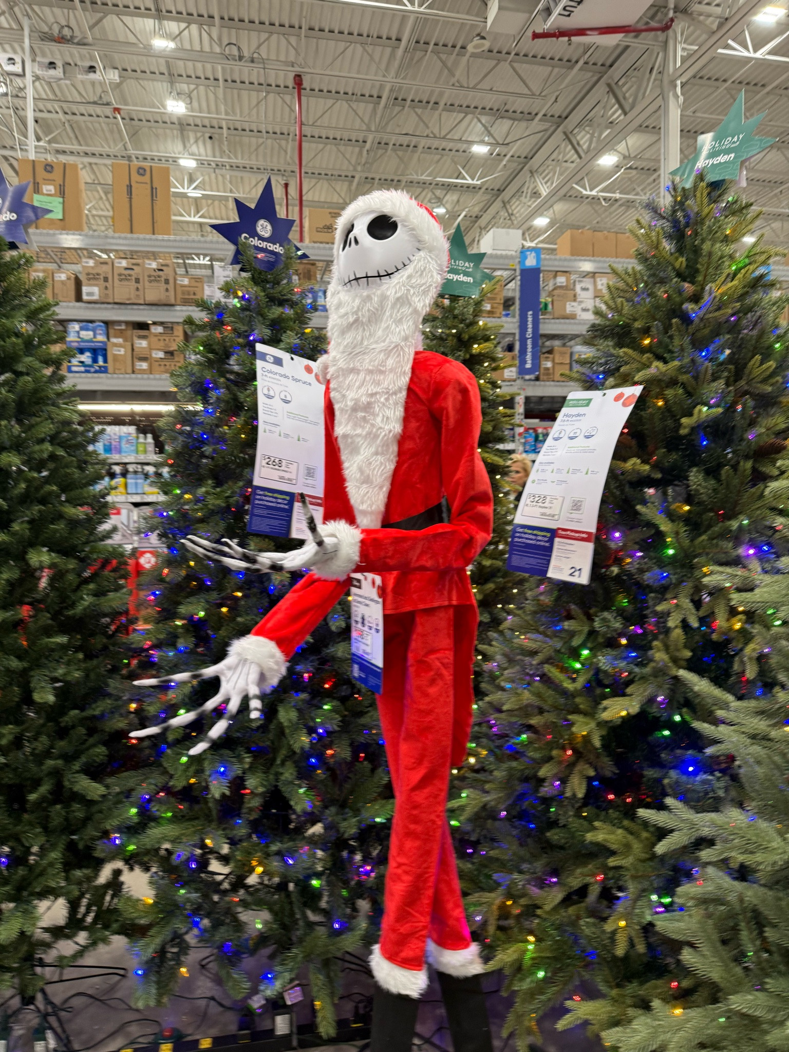 Christmas meets Halloween!

#LTKSeasonal #LTKHome #LTKPetite