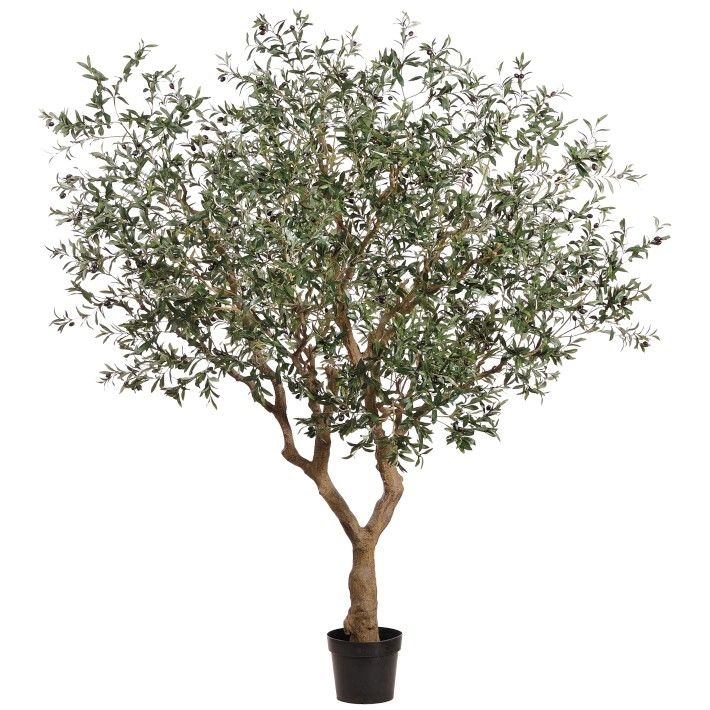 8' Faux Olive Tree in Plastic Nursery Pot | Williams-Sonoma