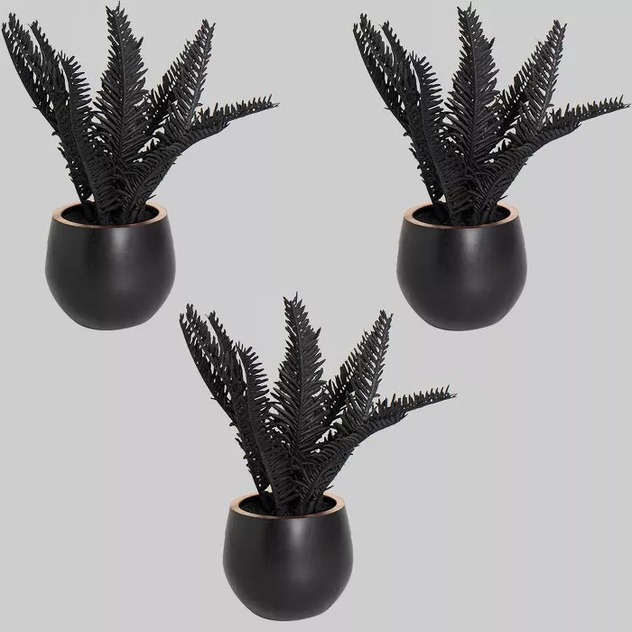 3pk Plants Hemlock - Bullseye's Playground™ | Target