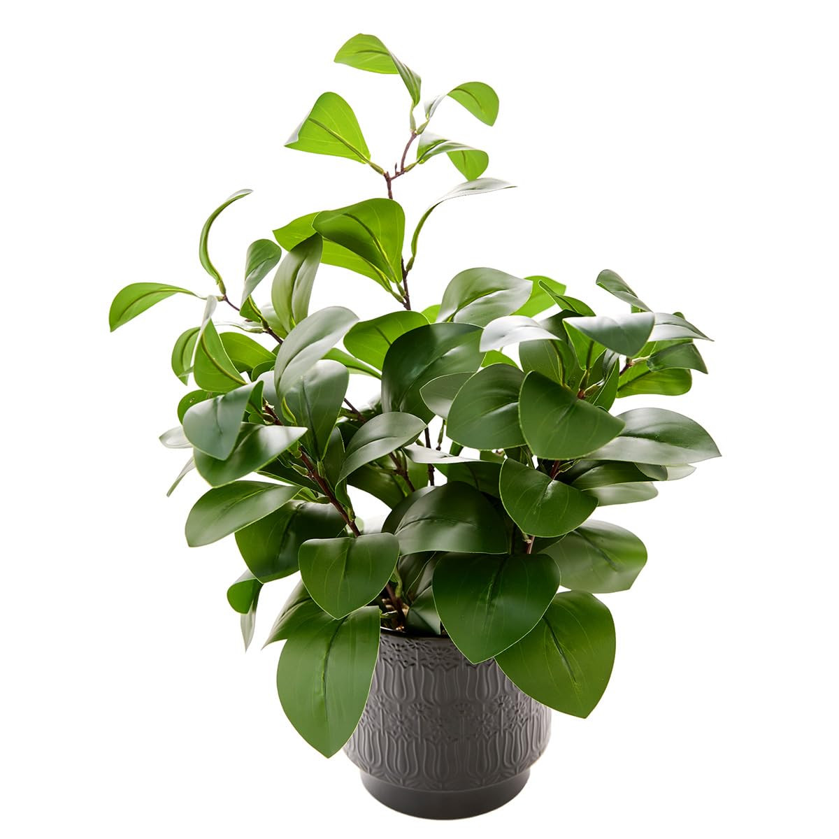 19" Artificial Ficus Plant in Textured Black Ceramic Planter Tall Faux Plant with Deep Green Leav... | Amazon (US)