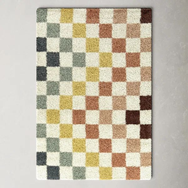 Leonie Florence-Graham Checkered Rainbow Colored Shag Area Rug | Wayfair North America