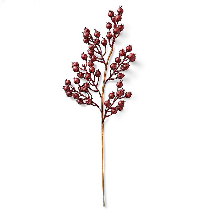 Burgundy Berry Stems, Set of Six | Frontgate | Frontgate