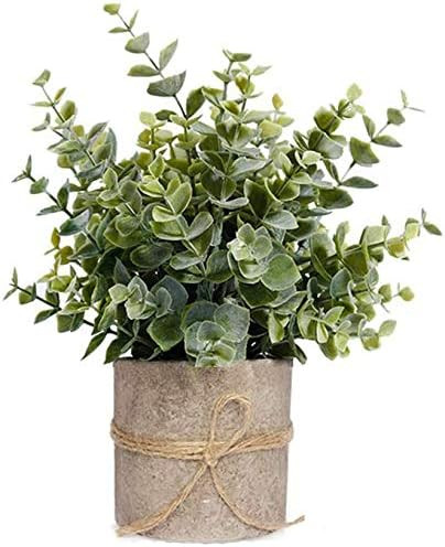 SIAMO Artificial Plants Faux Eucalyptus Fake Plants in Pots Farmhouse Plants 9.45" Tall for Indoo... | Amazon (US)