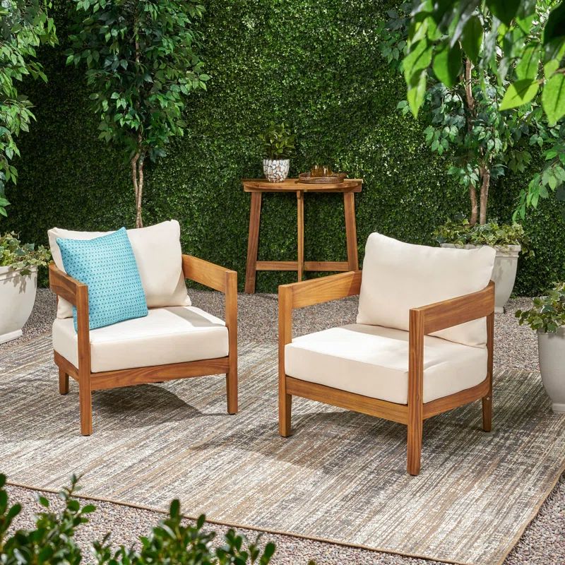 Mica Outdoor Patio Chair with Cushions (Set of 2) | Wayfair North America