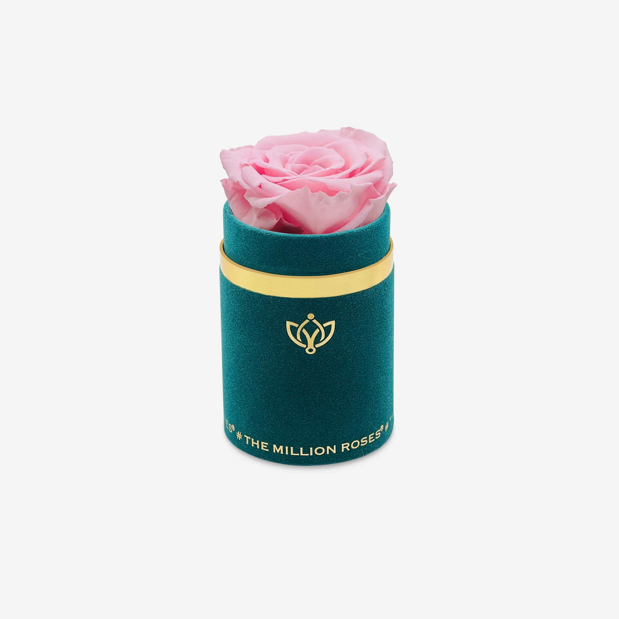 Single Dark Green Suede Box | Light Pink Rose | The Million Roses