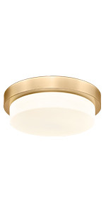 Audickic Gold Flush Mount Ceiling Light, 13inch Close to Ceiling Light Fixtures 24W 2200lm Dimmab... | Amazon (US)