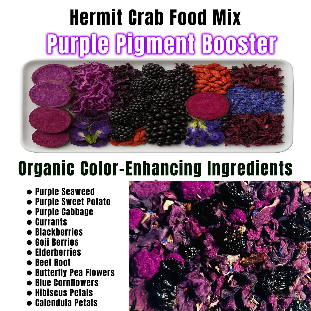 Purple Pigment Booster - Hermit Crab Food Mix - Etsy | Etsy (US)