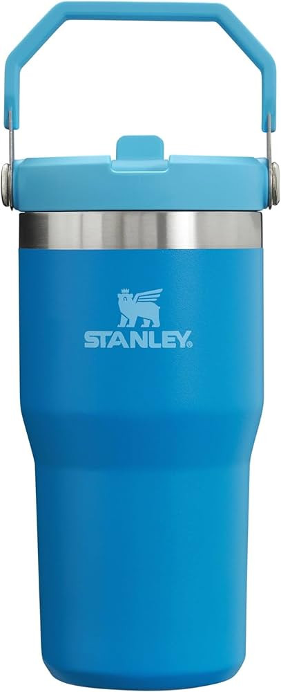 Stanley IceFlow Flip Straw Tumbler with Handle 20 oz | Twist On Lid and Flip Up Straw | Leak Resi... | Amazon (US)