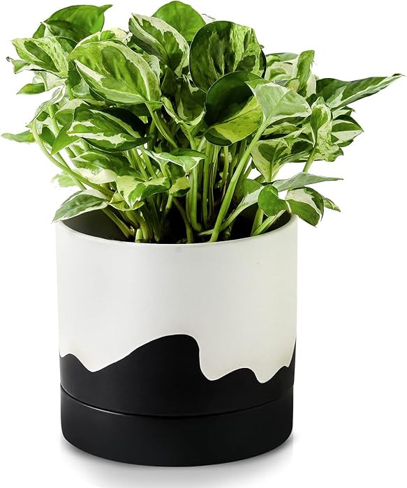 Nihow Ceramic Plant Pot: 6 Inch Planter with Drainage Hole & Saucer for Indoor & Outdoor Plants -... | Amazon (US)