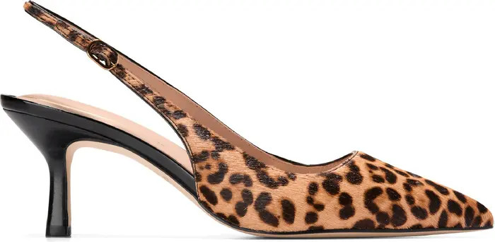 Hansell Slingback Pointed Toe Pump (Women) | Nordstrom