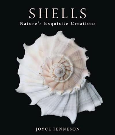 Shells: Nature's Exquisite Creations | Amazon (US)
