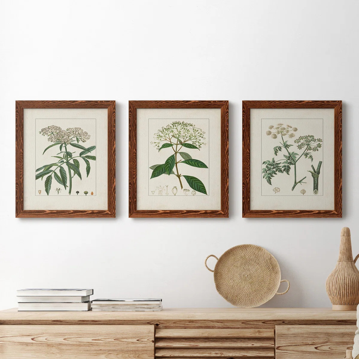 " Antique Turpin Botanical VII " 2 - Pieces Painting Print | Wayfair North America