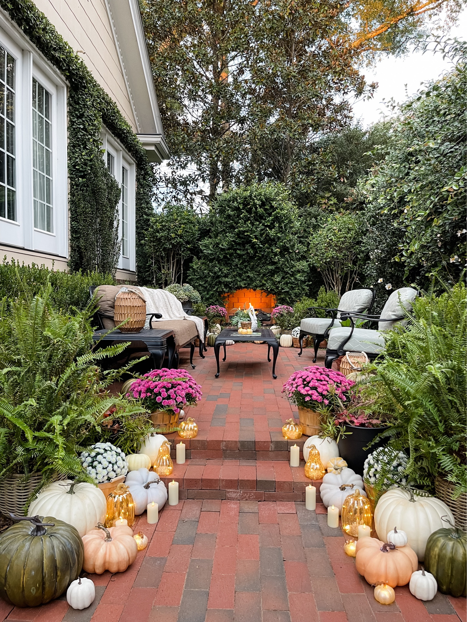 Fall in the courtyard 🍁🍂