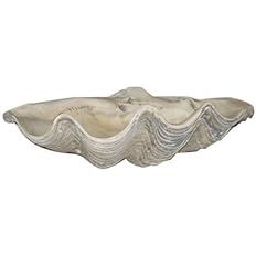 House Parts Large Clam Shell + Free Shipping | Amazon (US)