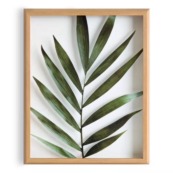 16" x 20" Blake Botanical 5F Framed Printed Glass by Amy Peterson Natural - Kate and Laurel | Target