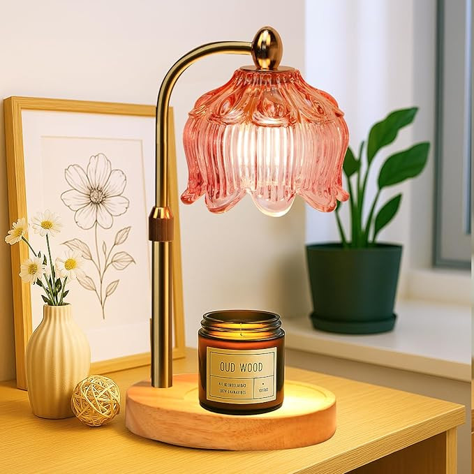 GEEZO Fragrance Candle Warmer Lamp，Electric Candle Warmer with Timer & Dimmer，Mom Christmas B... | Amazon (US)