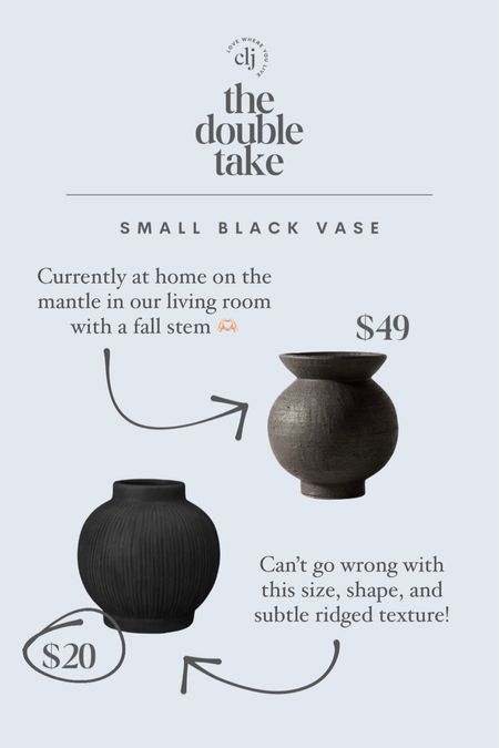 The Double Take: Small Black Vases

#LTKhome #LTKSeasonal #LTKstyletip