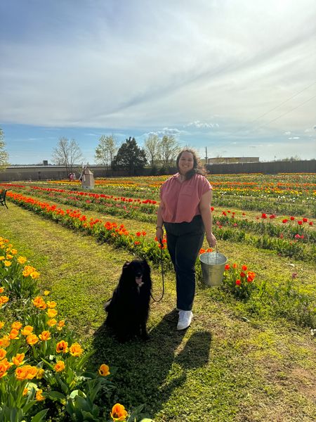 tulip farm 🌷✨