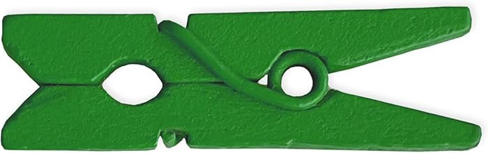 LWR CRAFTS Wooden Mini Clothespins 100 Per Pack 1" 2.5cm (Classic Green) | Amazon (US)