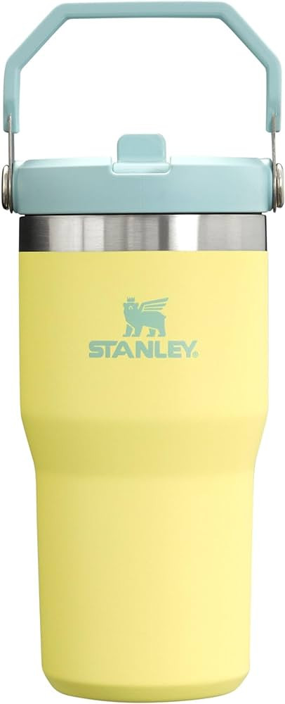 Stanley IceFlow Flip Straw Tumbler with Handle 20 oz | Twist On Lid and Flip Up Straw | Leak Resi... | Amazon (US)