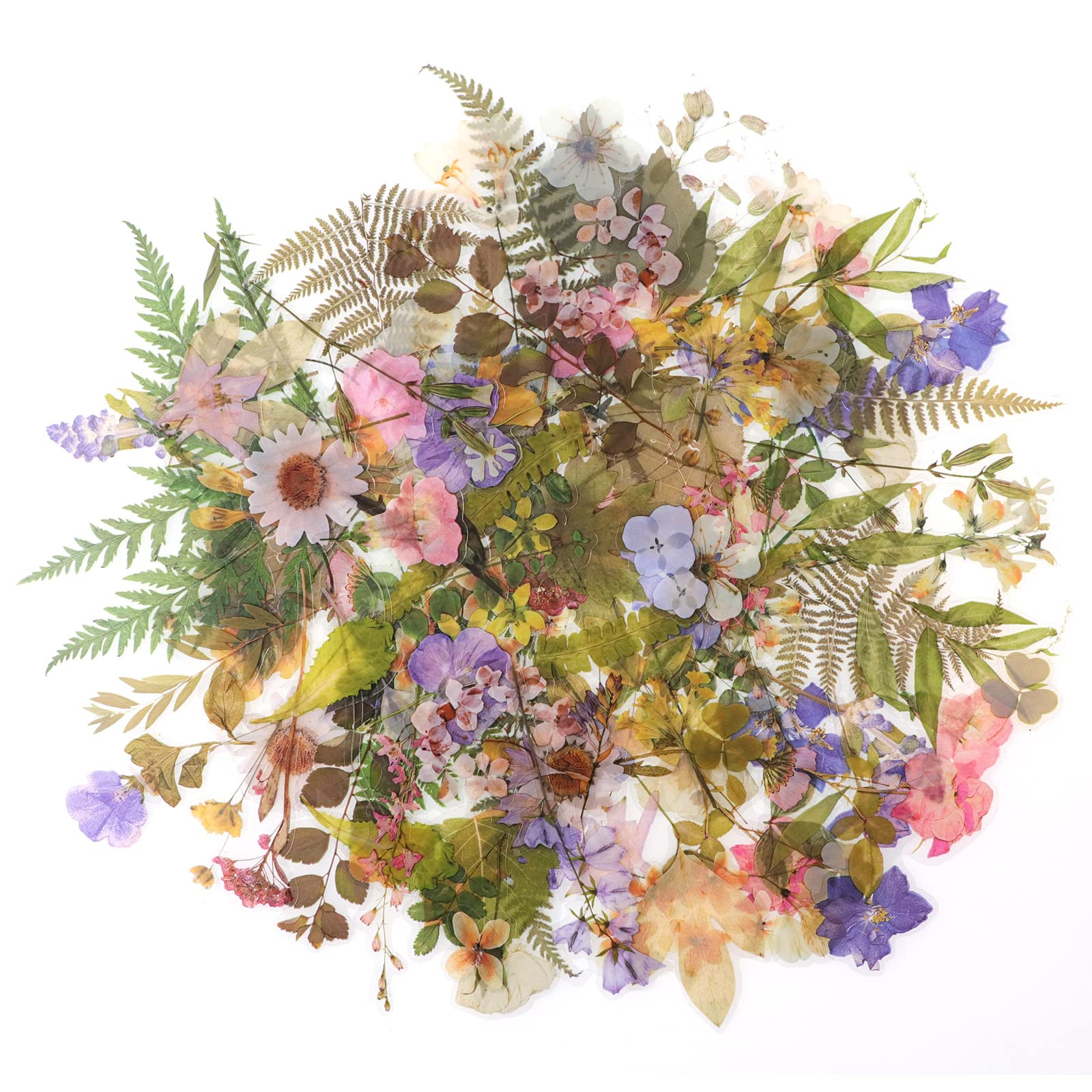 160pcs Pre-Cut Scrapbooks Natural Stickers, Floral and Plant Sticker for DIY Craft, Planners, Jou... | Amazon (US)