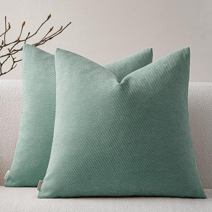 a moment Pack of 2 Decorative Chenille Throw Pillow Covers with Twill Cushion Covers for Sofa Liv... | Amazon (US)