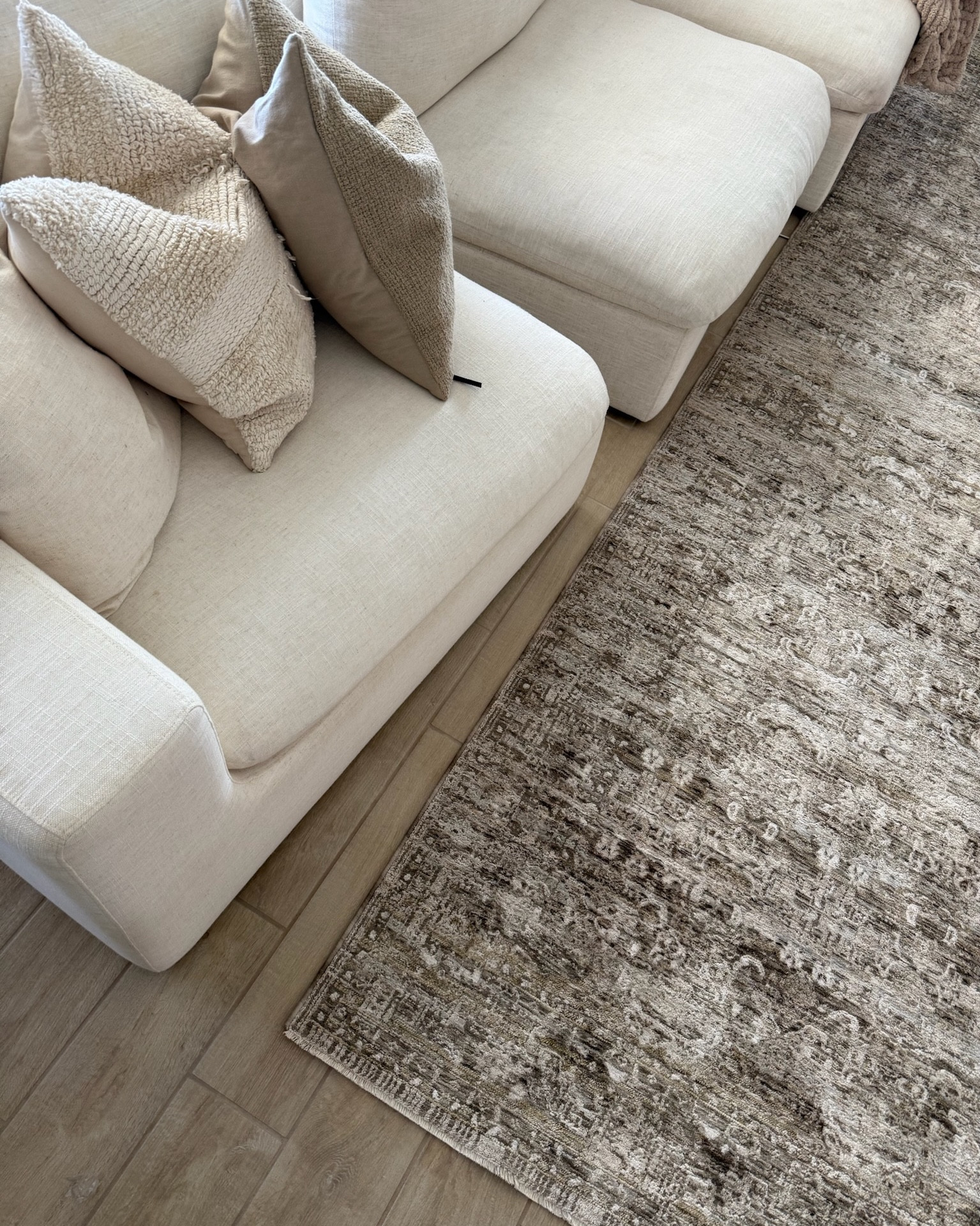 This rug!!! 😍 exact color I got is Bark / Dove - size 9x13!! Perfect vintage looking neutral area rug!!! I wanted a neutral rug this is one from the loloi Amber Lewis collaboration 

#LTKHome