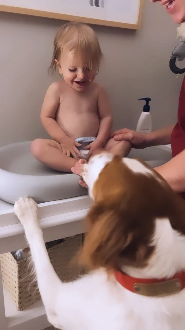 puppy lovin’ is the best kind of lovin’ 👼🏼🫶🏽🐶🥹🤍

#LTKhome #LTKfamily #LTKbaby