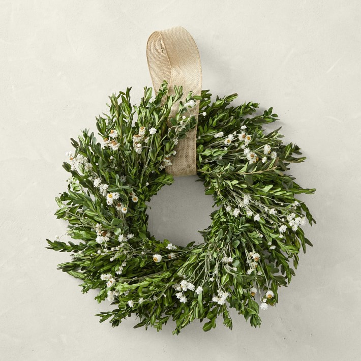 Field of Daisies Live Wreath | Williams-Sonoma