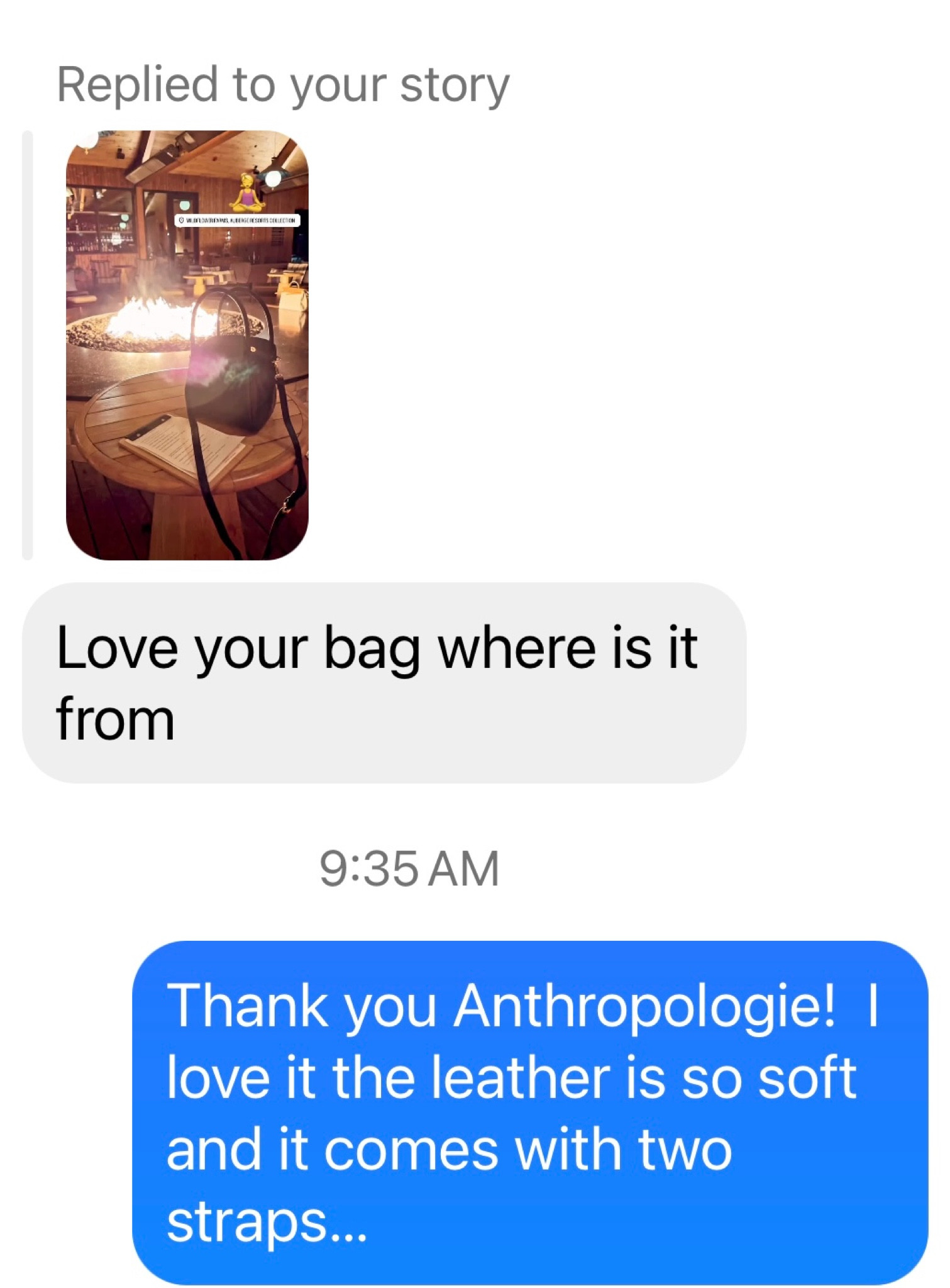 Anthropologie handbag under $100!

#LTKSeasonal #LTKfindsunder100 #LTKitbag