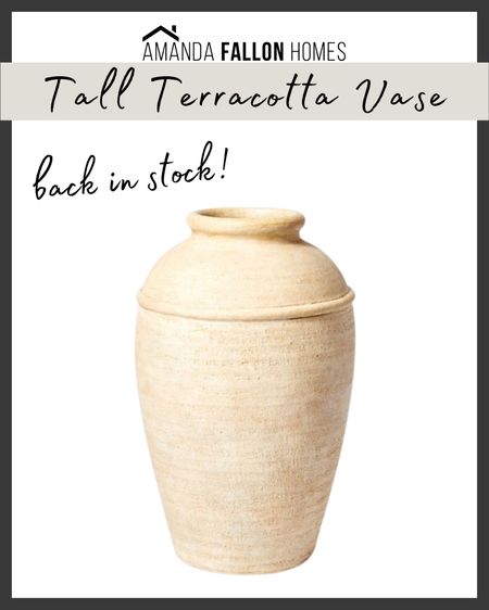 Beautiful tall terracotta vase is back in stock for the moment!

Neutral home decor. Shelf decor. Large vase.

#target #threshold #targethome

#LTKunder50 #LTKhome