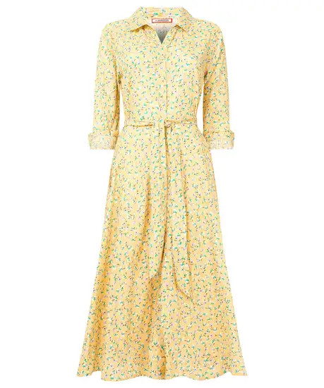Spring Days Dress | Joe Browns