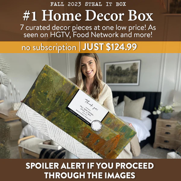 2023 Fall: The Seasonal Collection by Steal it Box | Decor Steals