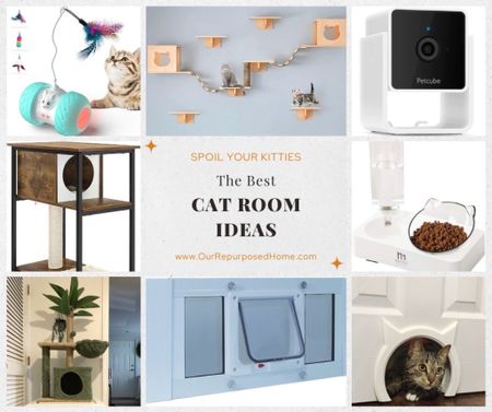 Ever want to make a special place for your cats? I have everything you need to make the best cat room ever.

#LTKhome #LTKstyletip
